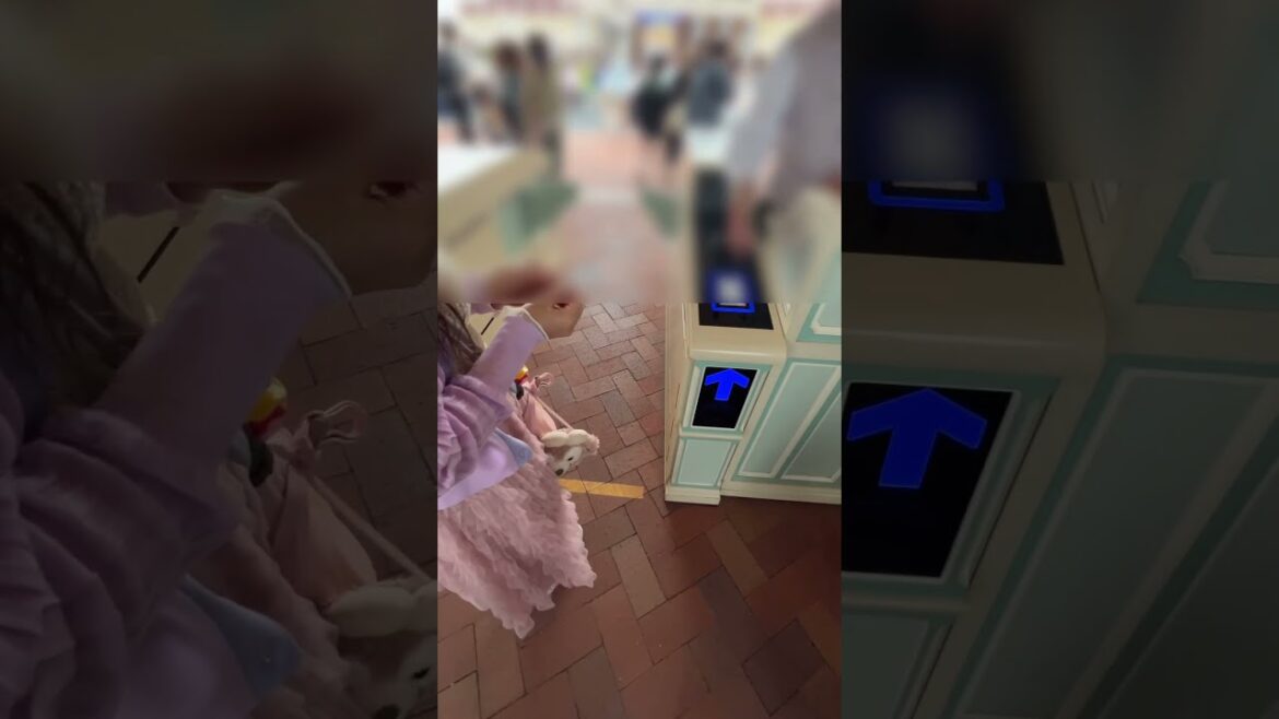 【期間限定】ディズニーランドの入り口のゲートにディズニーチケットをかざしてみました！