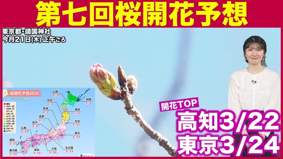 【第七回桜開花予想】明日から桜開花スタート トップは高知で3/22、東京は3/24