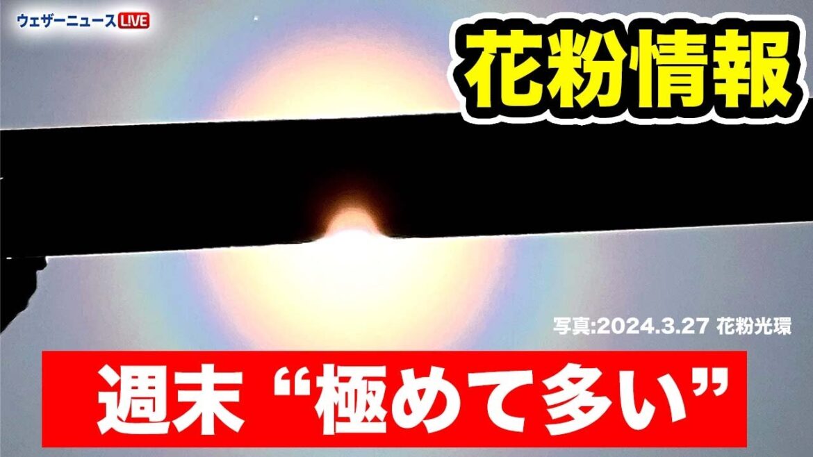 【花粉情報】週末は広範囲で花粉飛散が「極めて多い」