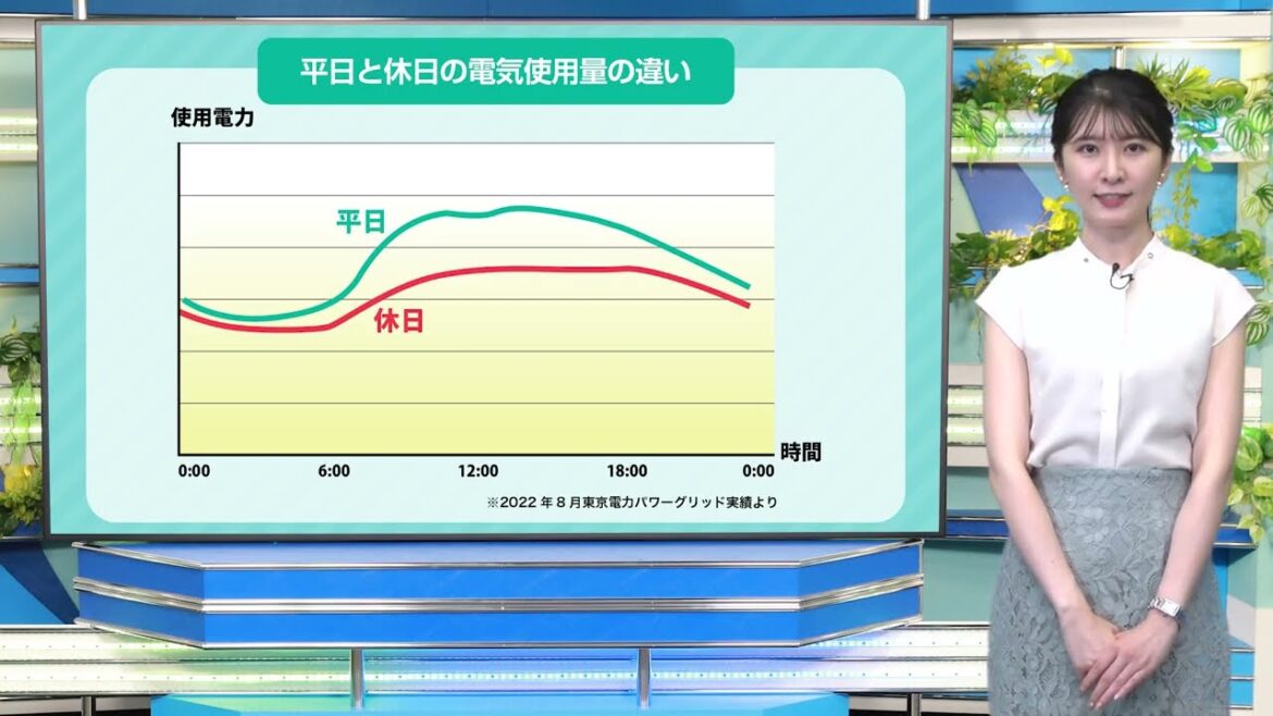 【電力需給ひっ迫に備えて】熱中症予防にエアコン使用OK！夏の節電、事前・事中にできることは？2024年度版