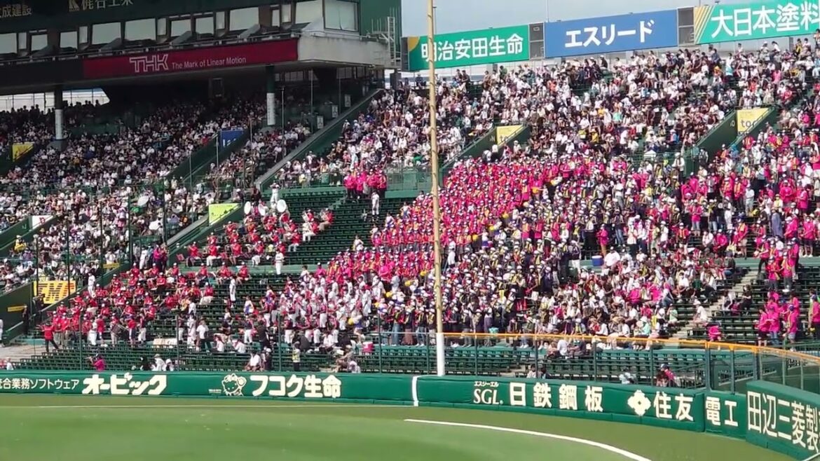 【魔曲】国学院栃木 新世界より 高校野球ブラバン応援