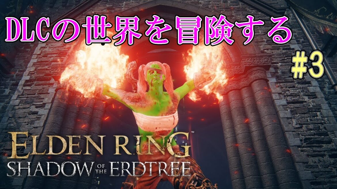 【ELDEN RING】初見だけど二週目の世界！DLC　エンシスの城砦から　#3【＃新人Vtuber】【＃エルデンリング】