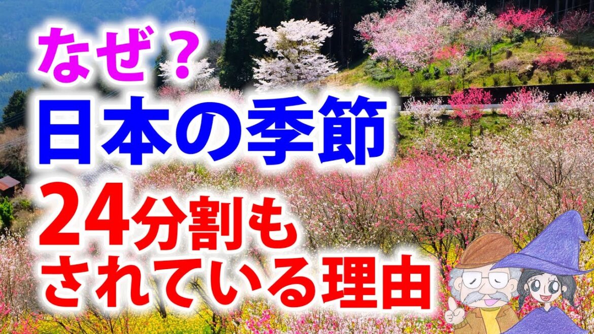なぜ日本には二十四節気があるのか？立春•立夏•立秋•立冬、夏至冬至、暦について
