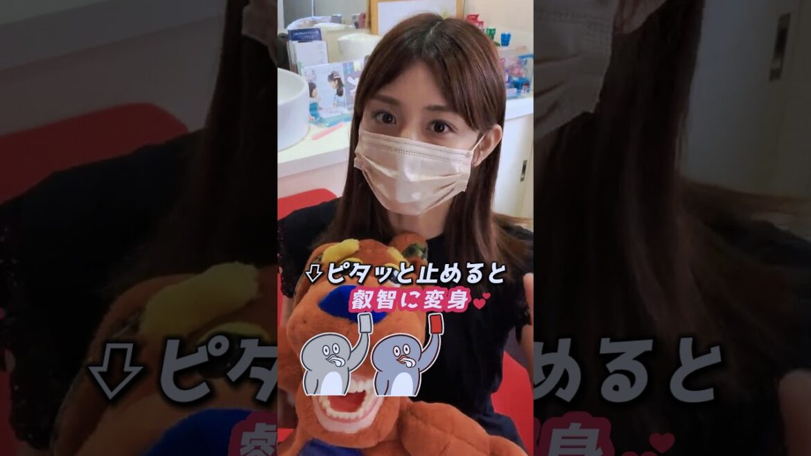 ぬいぐるみを抱っこして語る小倉優子でピタ止めチャレンジ #shorts #おすすめ #可愛い