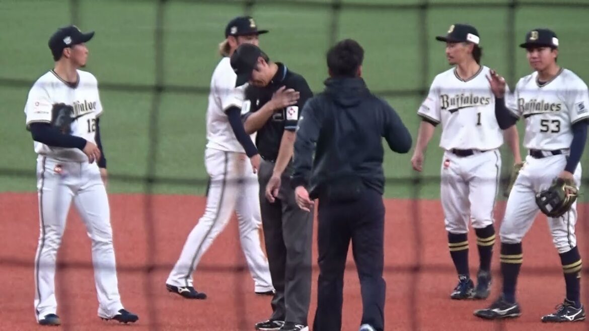 オリックス宜保翔選手と激突した後の白井一行審判員の様子【2024.3.3 オリックス vs 横浜DeNA オープン戦】