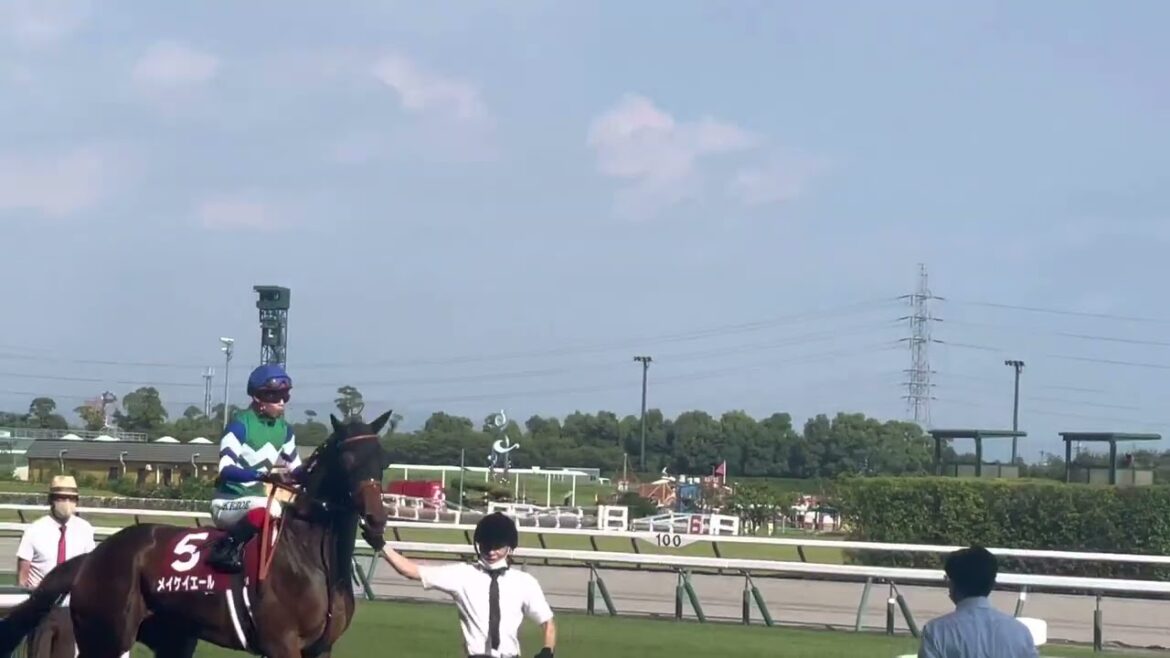 セントウルステークス🏇メイケイエール馬場入場✨️