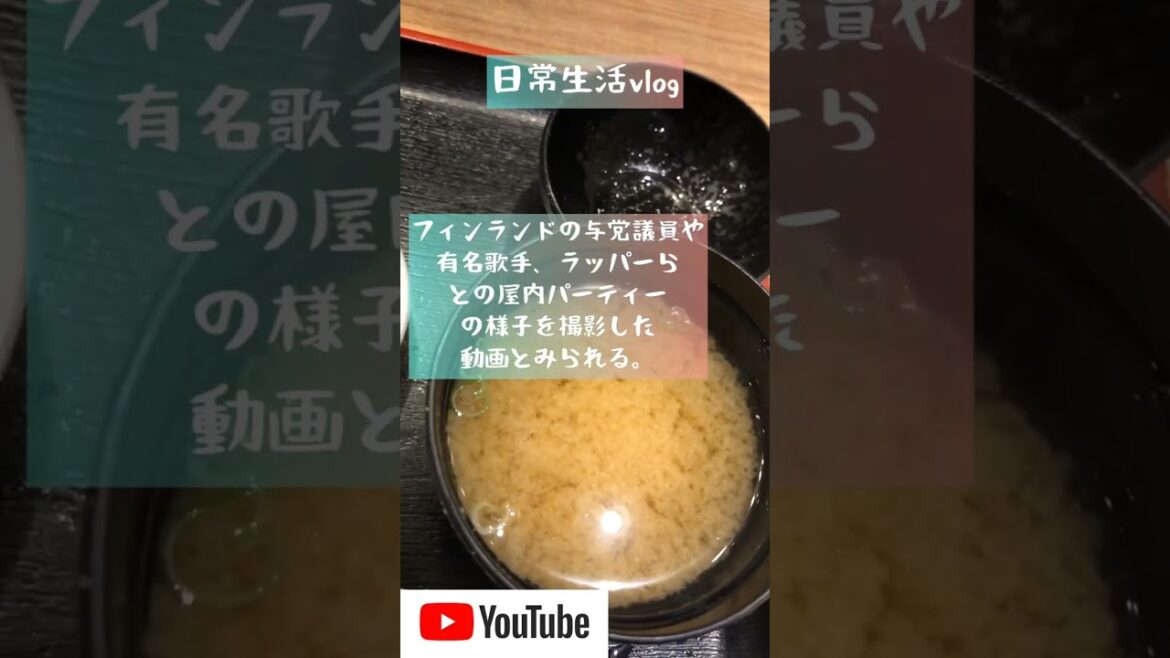 フィンランド首相賛否両論#独身男性 #独身 #vlog #vlogger #日常生活 #日常 #経済 #ニュース #フィンランド#マリン首相