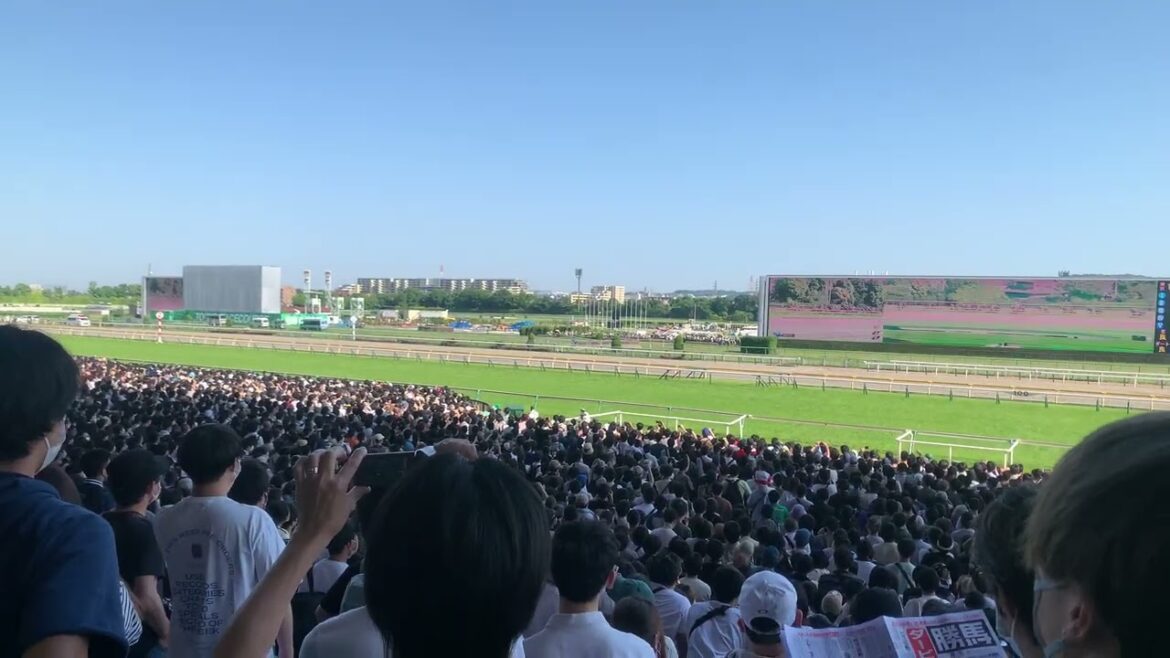 日本ダービー 2022 レース 現地