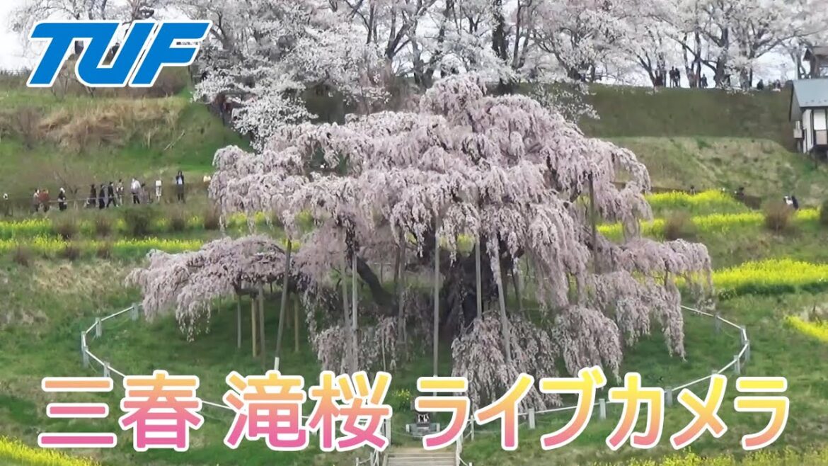 【TUFテレビユー福島】ライブカメラ　(福島・郡山・会津若松・小名浜)
