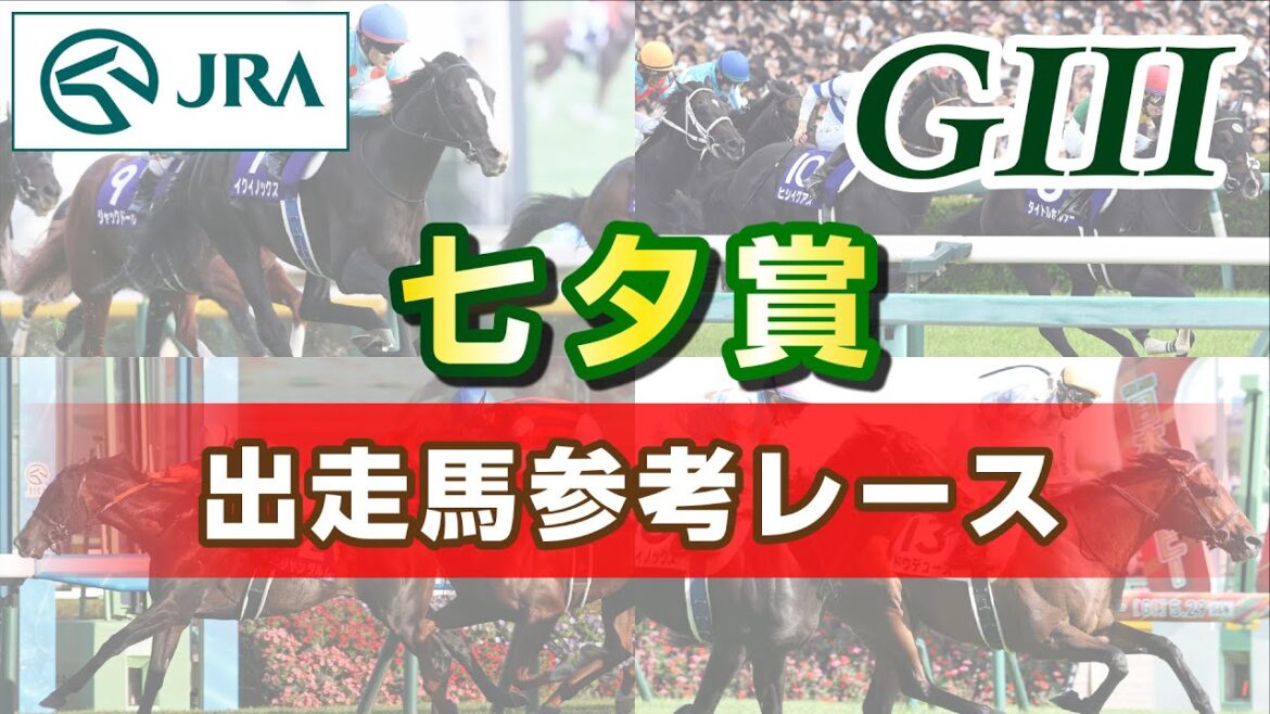【参考レース】2024年 七夕賞｜JRA公式