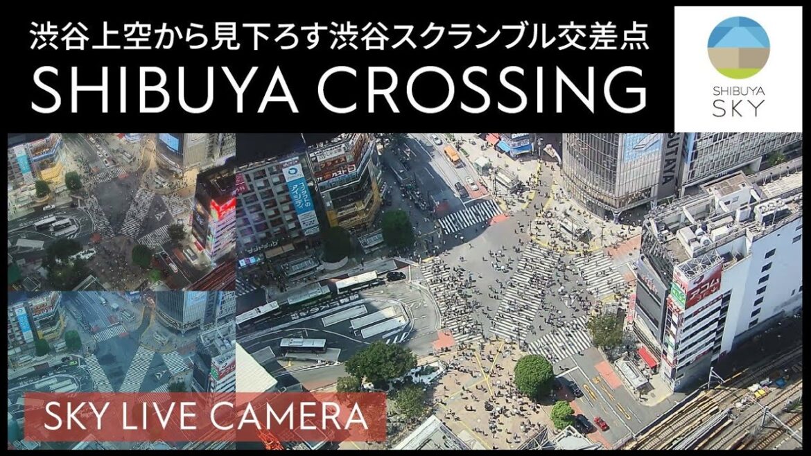 【SKY LIVE CAMERA】SHIBUYA CROSSING／渋谷スクランブル交差点‐SHIBUYA SKYからの景色