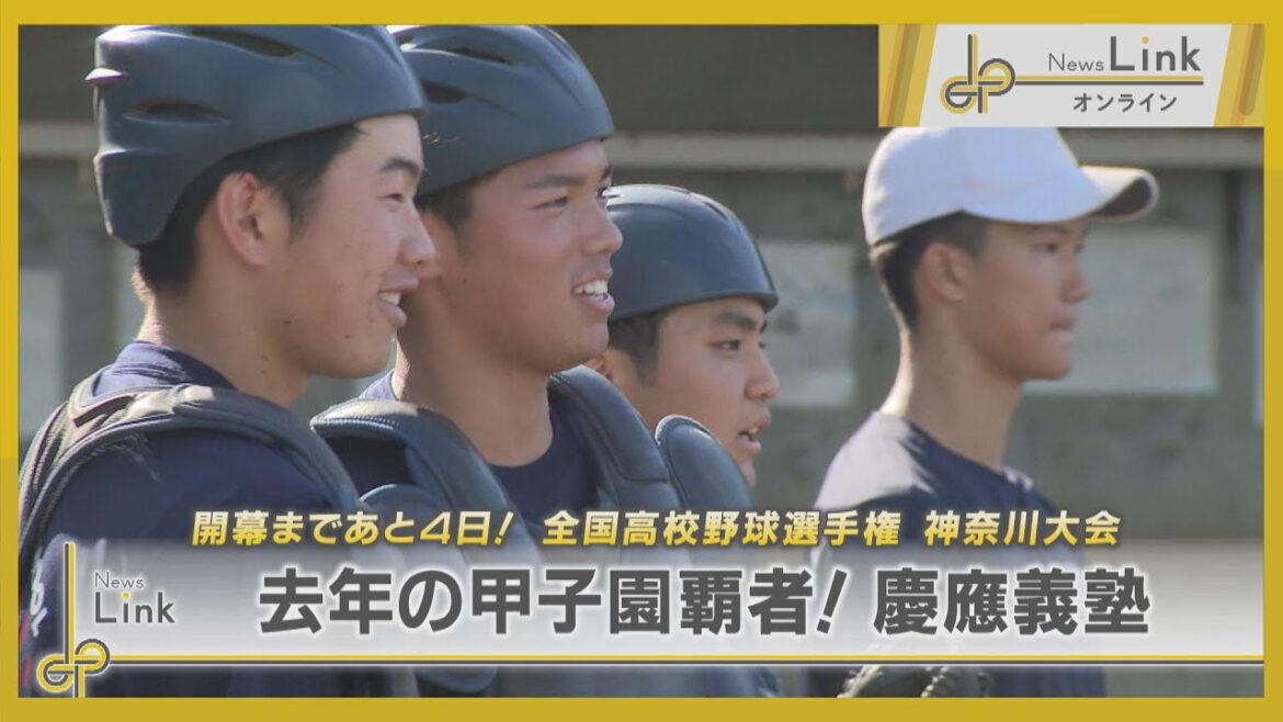去年の甲子園覇者！慶應義塾 / 開幕直前！全国高等学校野球選手権神奈川大会【News Linkオンライン】