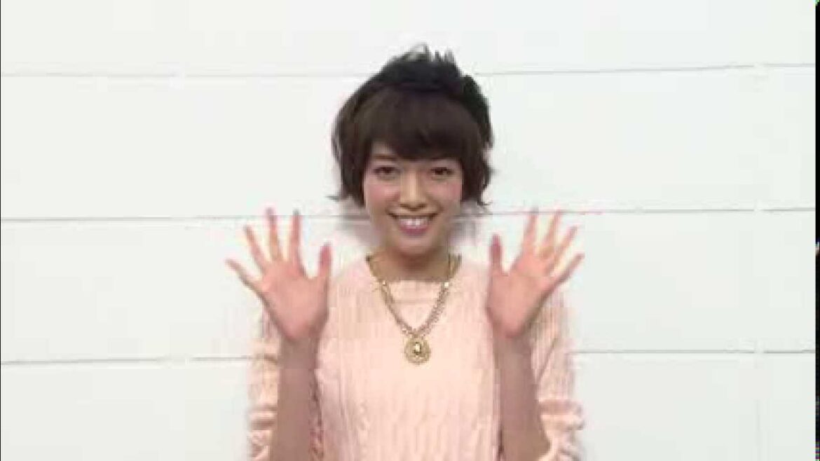 モアモデル 佐藤栞里の2014年NEW YEAR MESSAGE！