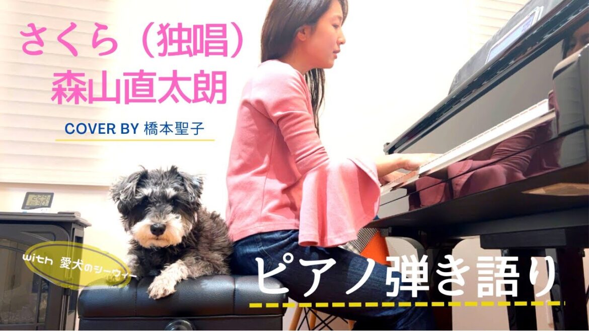 【ピアノあそび】さくら（独唱）/森山直太朗 cover by 橋本聖子
