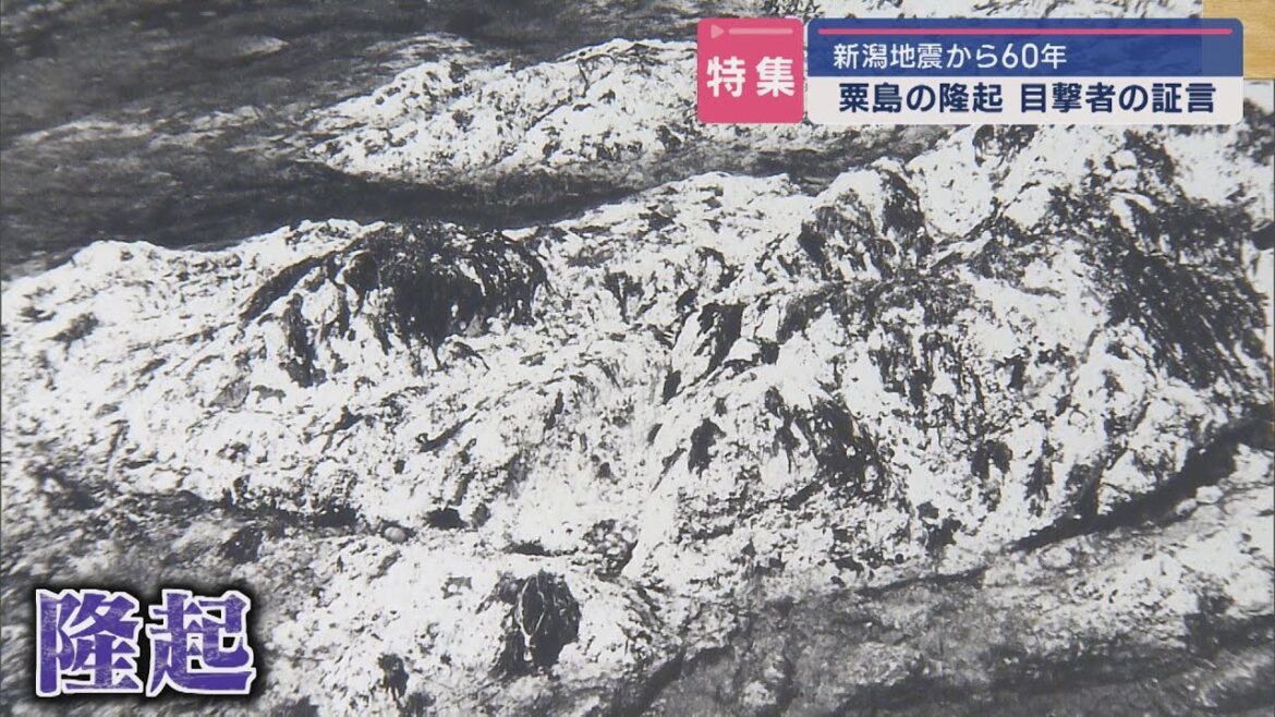 【特集】60年前の新潟地震で粟島におきた〝隆起〟住民たちが語る記憶と今【新潟･粟島浦村】スーパーJにいがた6月18日OA