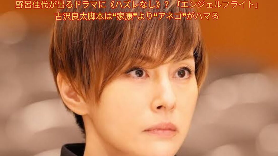 野呂佳代が出るドラマに《ハズレなし》？「エンジェルフライト」古沢良太脚本は“家康”より“アネゴ”がハマる