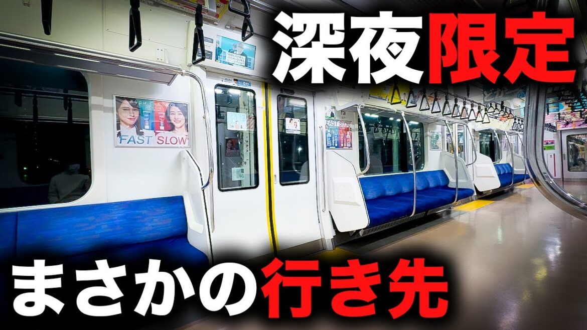 【1日1本】深夜限定運行の京浜東北・根岸線謎運用を乗り通してみた！｜終電で終点に行ってみた#13