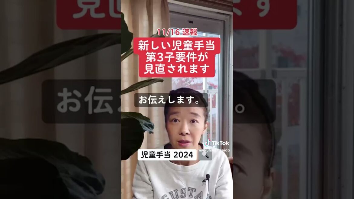 11/16速報 新しい児童手当の第三子要件が見直されます子育て支援制度をどこよりも早く速報＆解説。