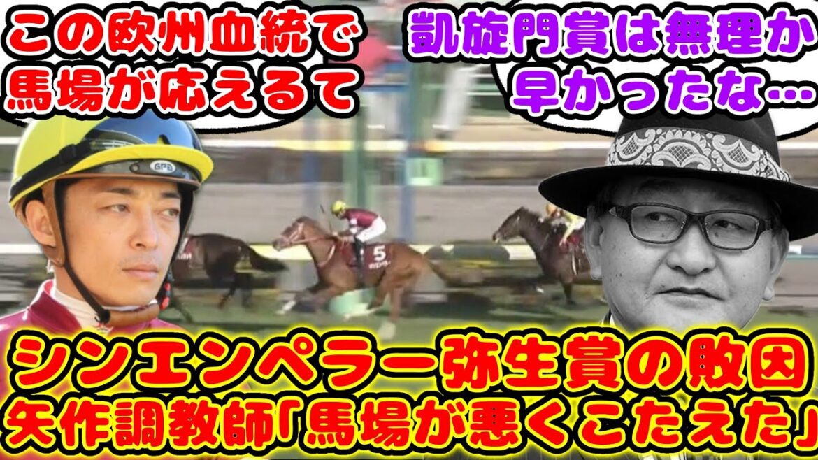 【競馬】シンエンペラー 矢作調教師が語る弥生賞での敗因が話題に！【競馬の反応集】