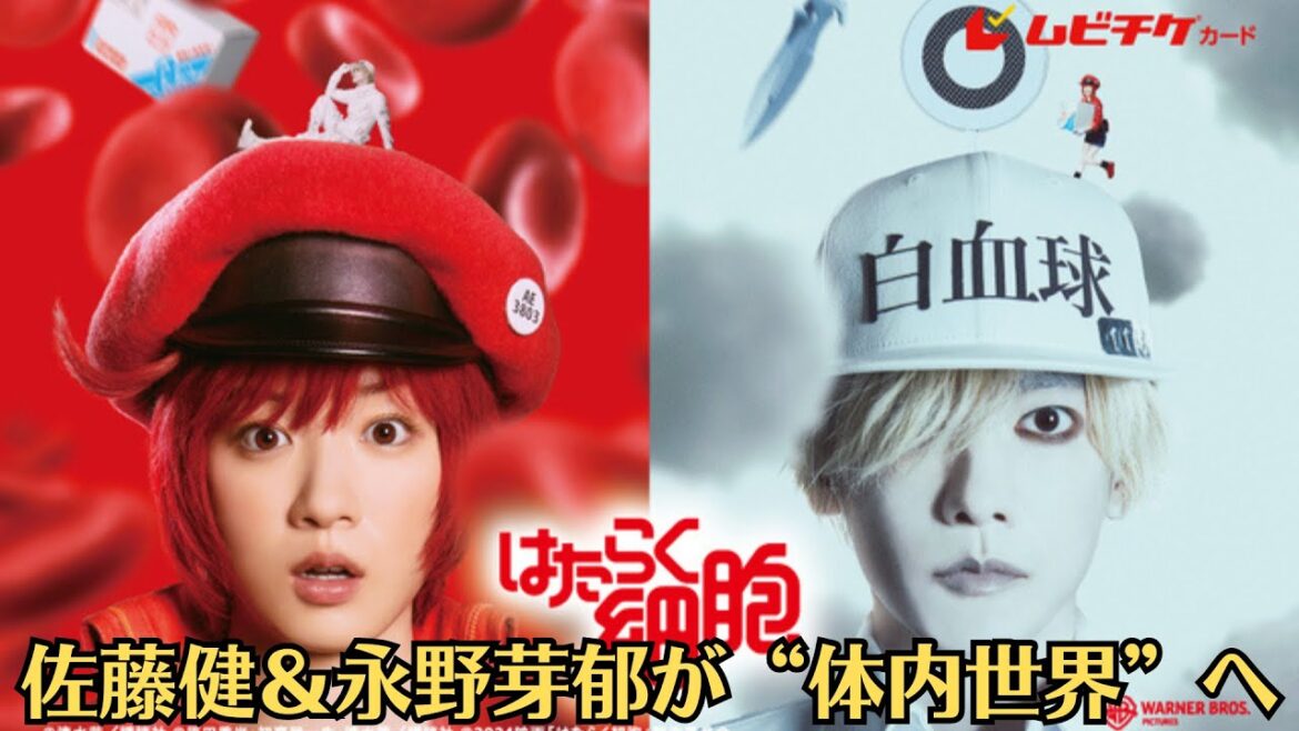 佐藤健＆永野芽郁が“体内世界”へ！　実写映画「はたらく細胞」ポスター公開