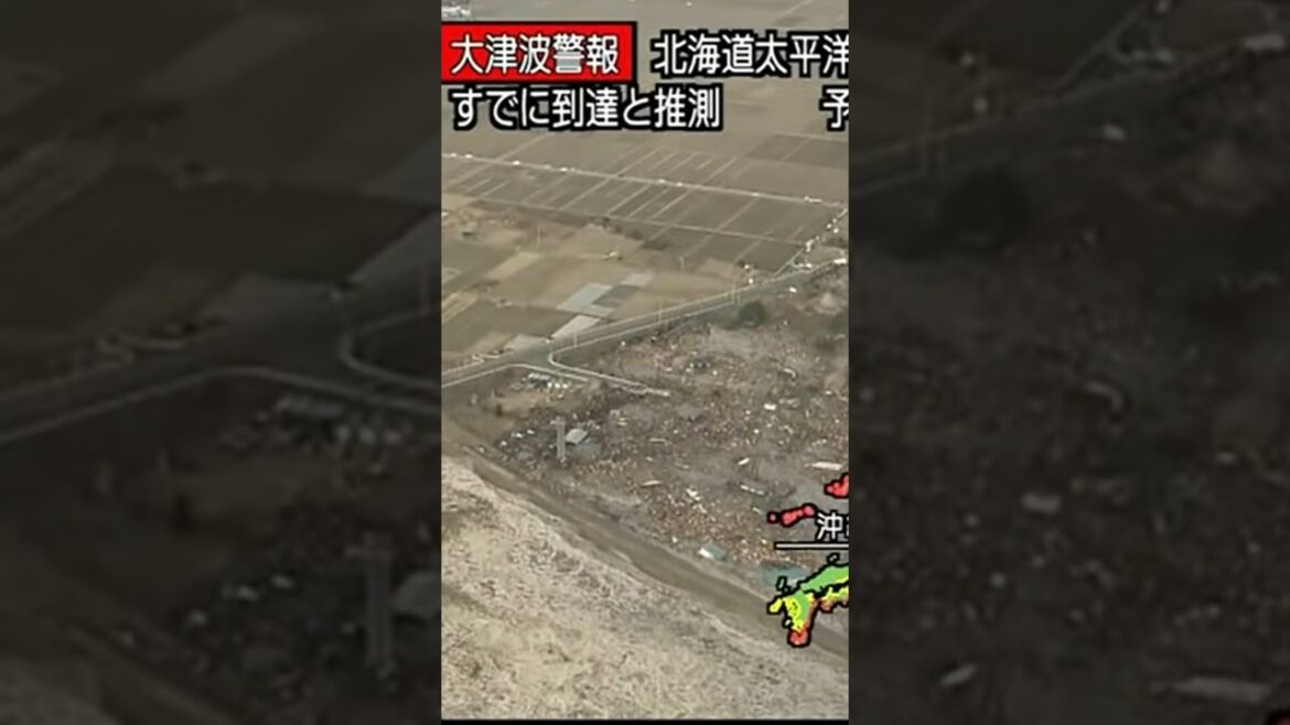 人車が飲み込まれる瞬間　東日本大震災津波地震ライブ4　JAPAN earthquake TUNAMI LIVE　#shorts　#とおる石油 　#地震　#地震ライブ 　#津波
