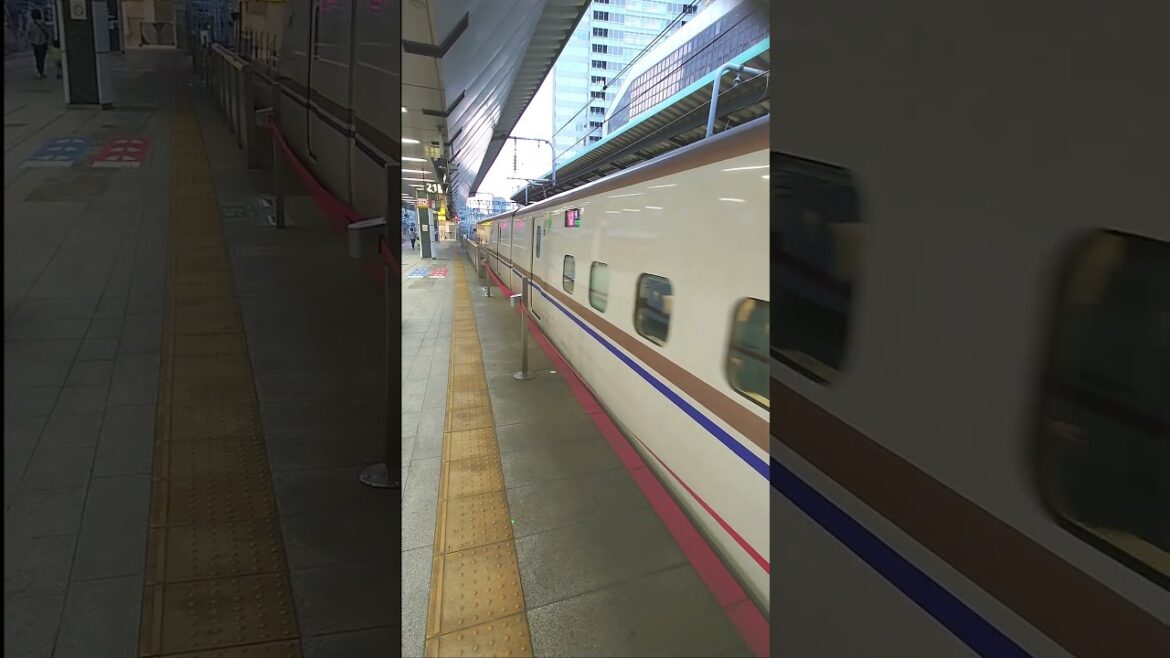 【上越新幹線】東京駅・とき迫力満点の入線 #short#新幹線#上越#上越新幹線#運行情報#JR#とき#運行#東京#東京駅#鉄道#電車#乗り鉄#撮り鉄#圧巻#迫力#満点#入線#東京都#千代田#千代田区