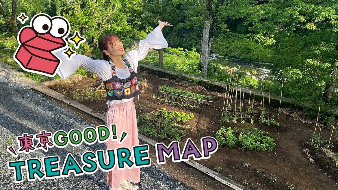 東京ＧＯＯＤ！ＴＲＥＡＳＵＲＥ ＭＡＰ ＃273【奥多摩・沿線まるごとホテルとは？】