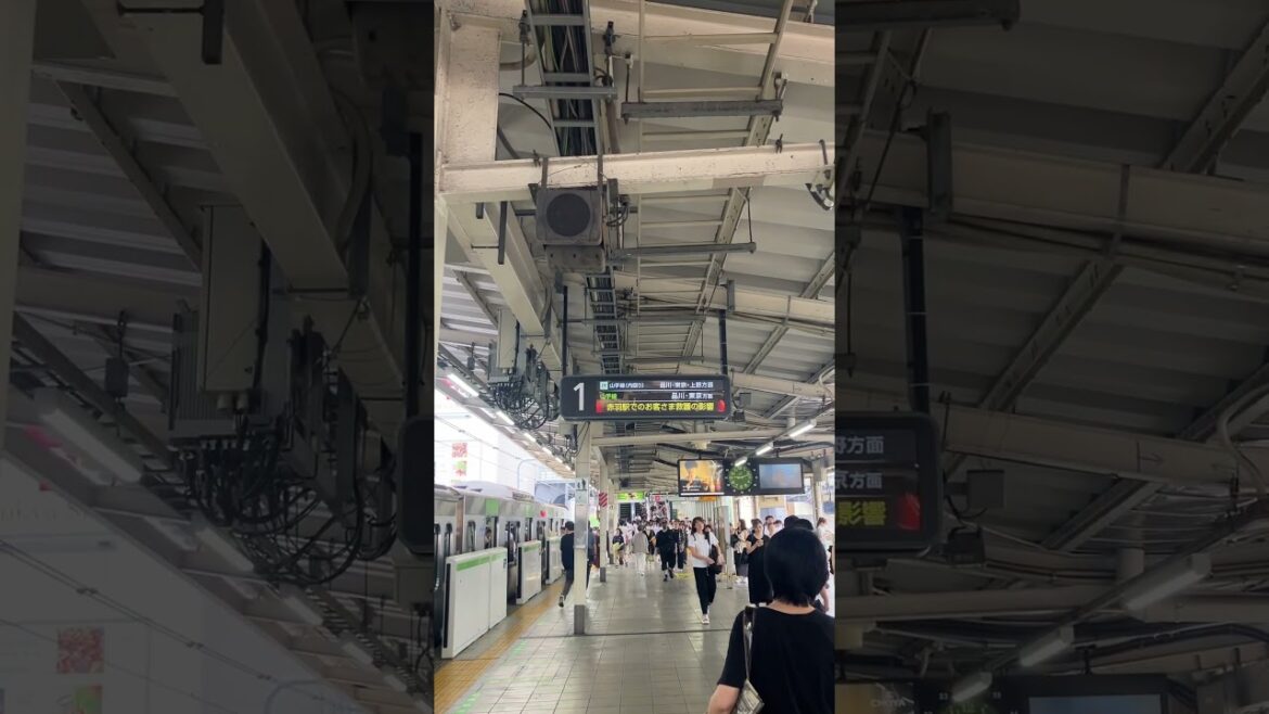 JR東日本埼京線遅延情報(電光掲示板)