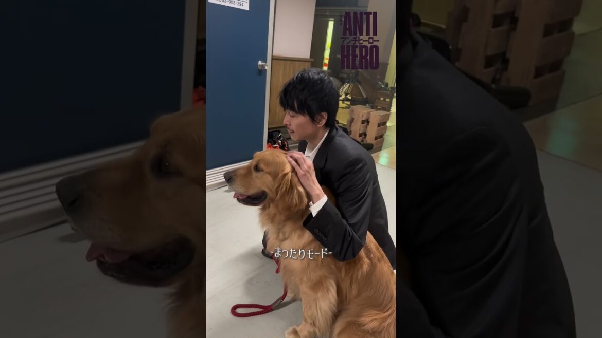 ミルとの動画part2🐕『アンチヒーロー』#長谷川博己 #北村匠海