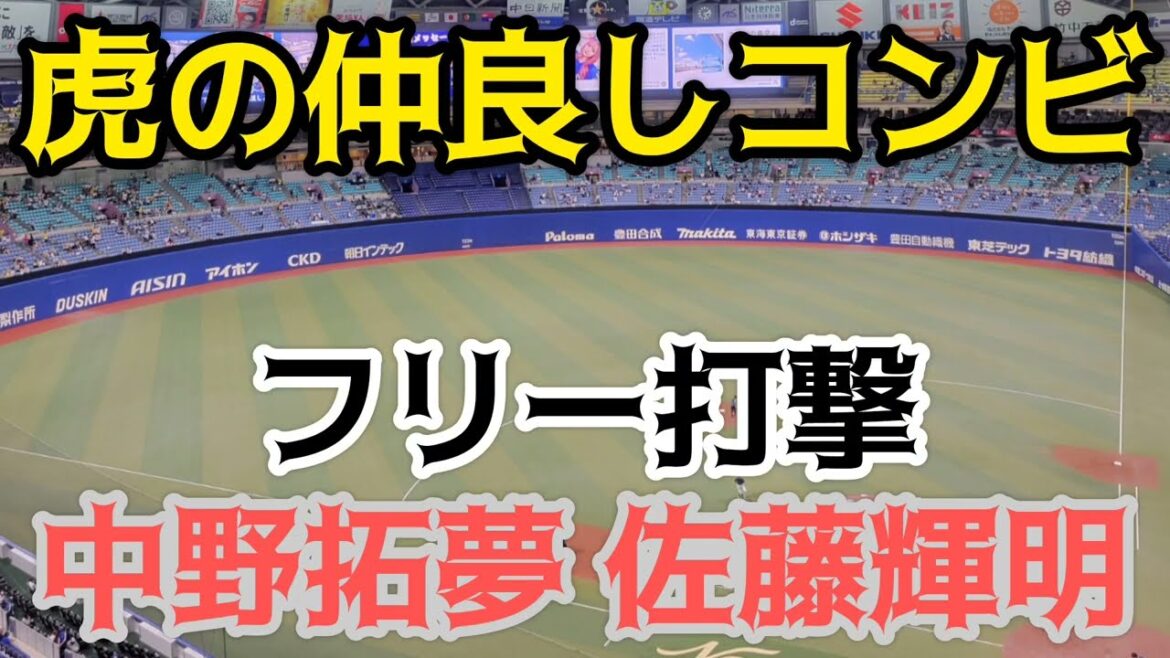 【虎が誇る同期コンビ】 #阪神 #中野拓夢 選手✨#佐藤輝明選手フリー打撃  #バンテリンドームナゴヤ  24.7.13.