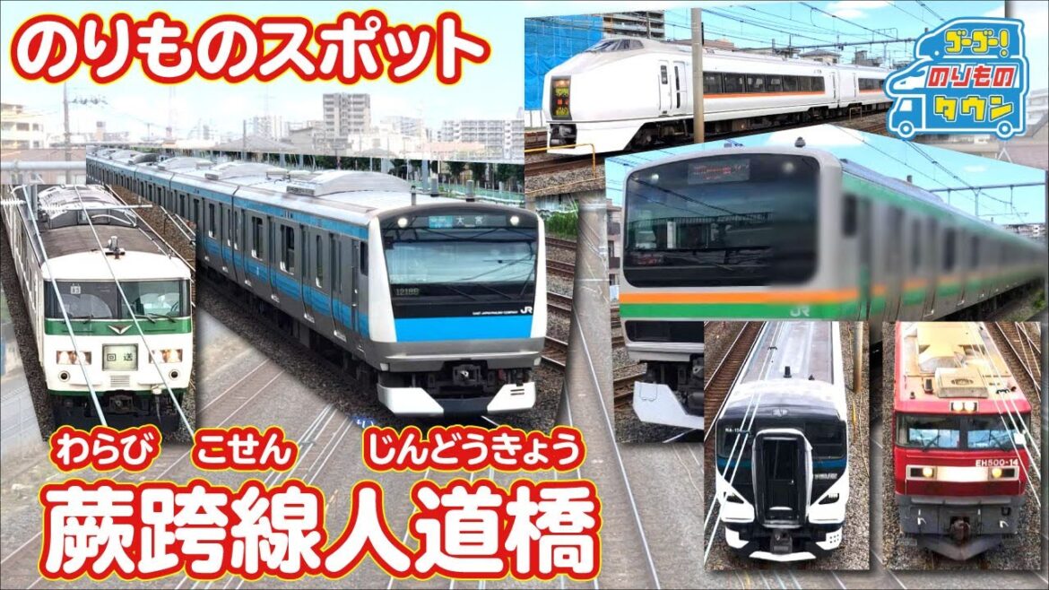 【のりものスポット】蕨跨線人道橋（京浜東北線、上野東京ライン、湘南新宿ライン）