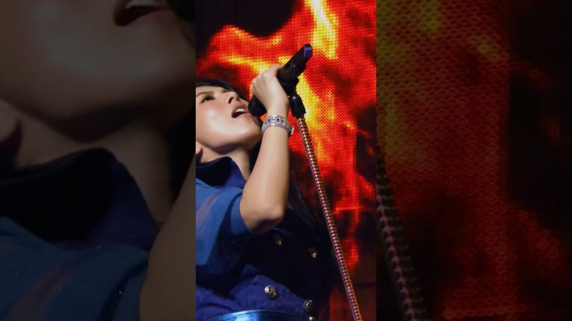 8/3—8/4 デビュー20周年ライブ開催！チケット発売中🔥 Paradise Lost（Minori Chihara 10th Anniversary Live 〜SANCTUARY〜）
