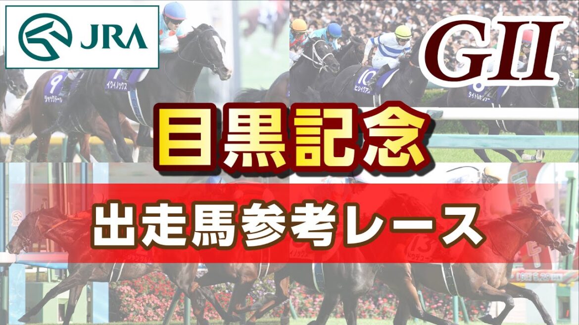 【参考レース】2024年 目黒記念｜JRA公式