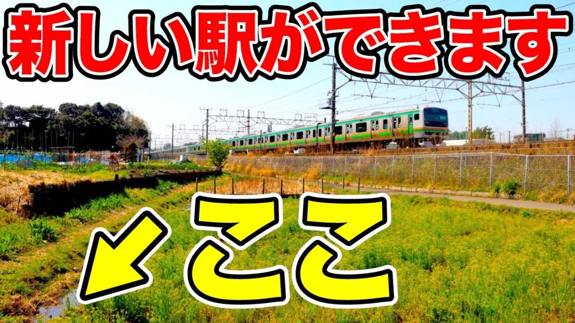 【空き地】新しい駅ができる場所に行ったけど、何もない…｜東海道本線 新駅