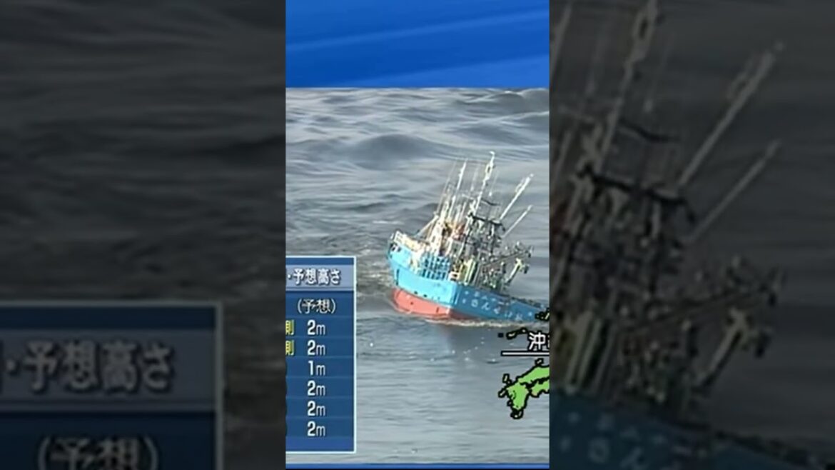 人車が飲み込まれる瞬間　東日本大震災津波地震ライブa1　JAPAN earthquake TUNAMI LIVE　#shorts　#とおる石油 　#地震　#地震ライブ 　#津波