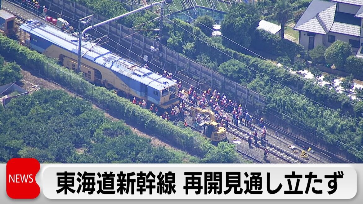 東海道新幹線 浜松ー名古屋間で運転見合わせ　22日中の再開めど立たず