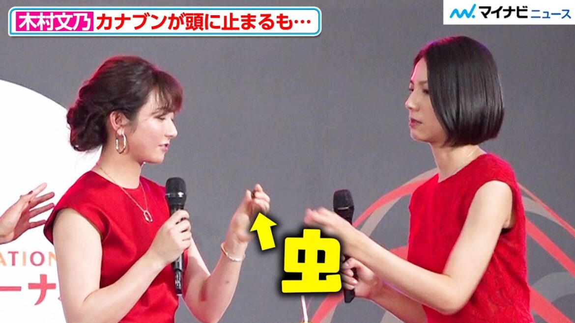 木村文乃＆松下奈緒、飛んできた“カナブン”を掴み冷静すぎる対応「虫が全然怖くない」 『スカイキャッスル』制作発表記者会見