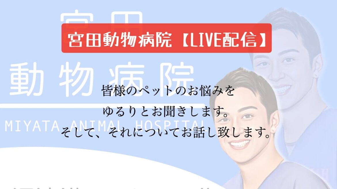 宮田動物病院 ライブ配信【MAHチャンネル】