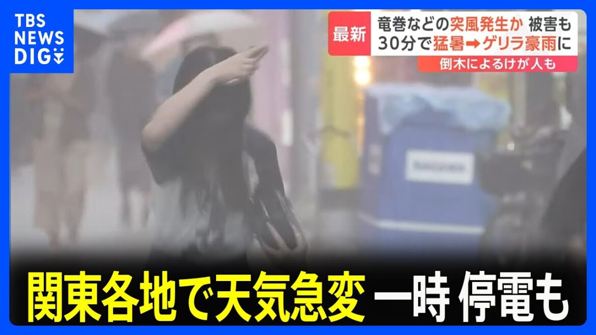 30分間で猛暑→ゲリラ豪雨に　埼玉では竜巻とみられる激しい突風による被害も　関東各地で天気急変｜TBS NEWS DIG