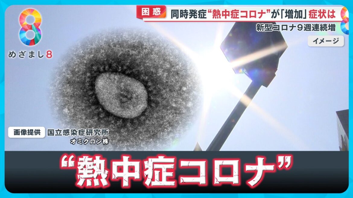【流行】熱中症×コロナ×手足口病 トリプル発症も…新型コロナ9週連続で増加中【めざまし８ニュース】