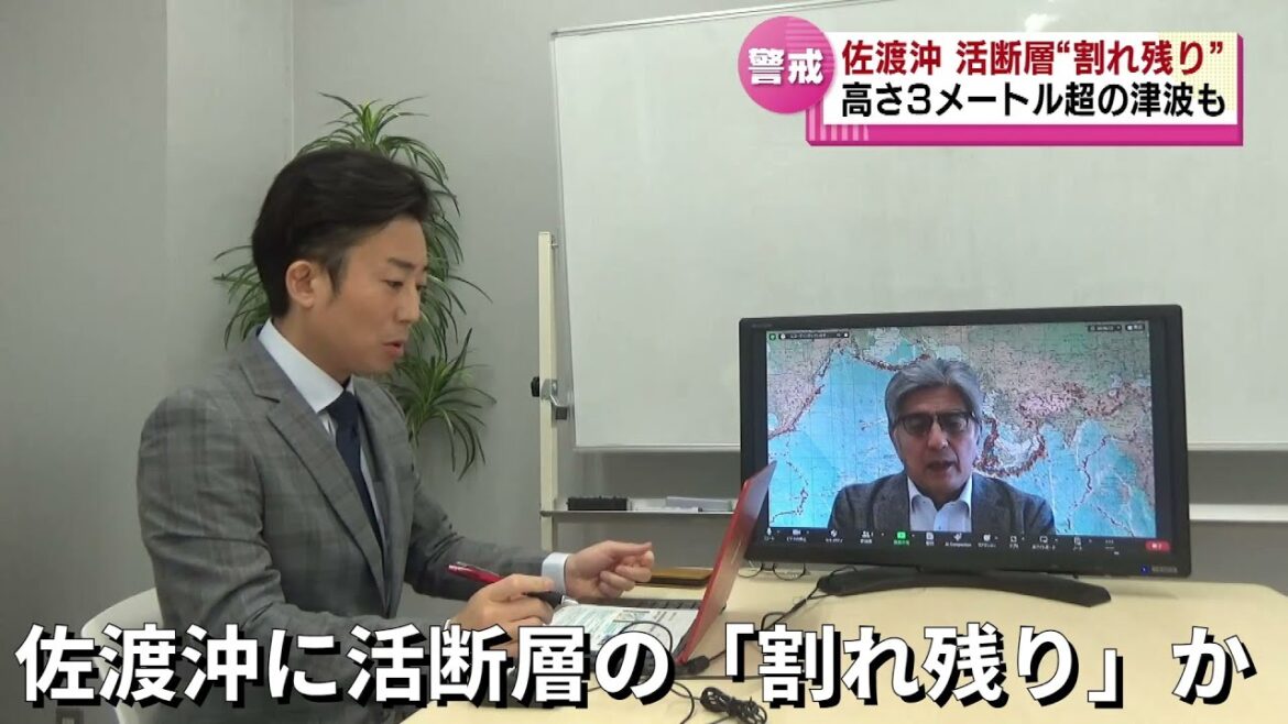 【能登半島地震】佐渡沖に活断層の「割れ残り」か　Ｍ７クラスの地震発生で３メートル超の津波の可能性も 《新潟》#tsunami #earthquake #japan
