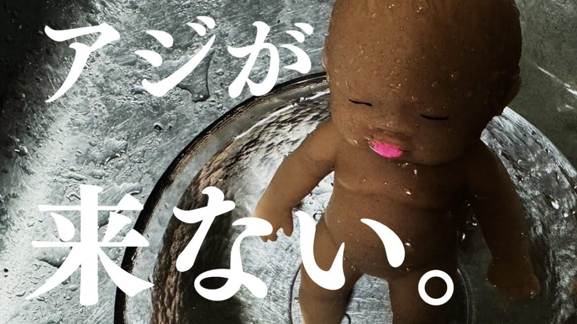 川島正一から諸々お知らせ