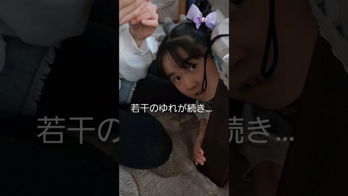 【地震発生時】能登地震の時、宮城県でも揺れを感じました。 #チェリーランドチャンネル #地震