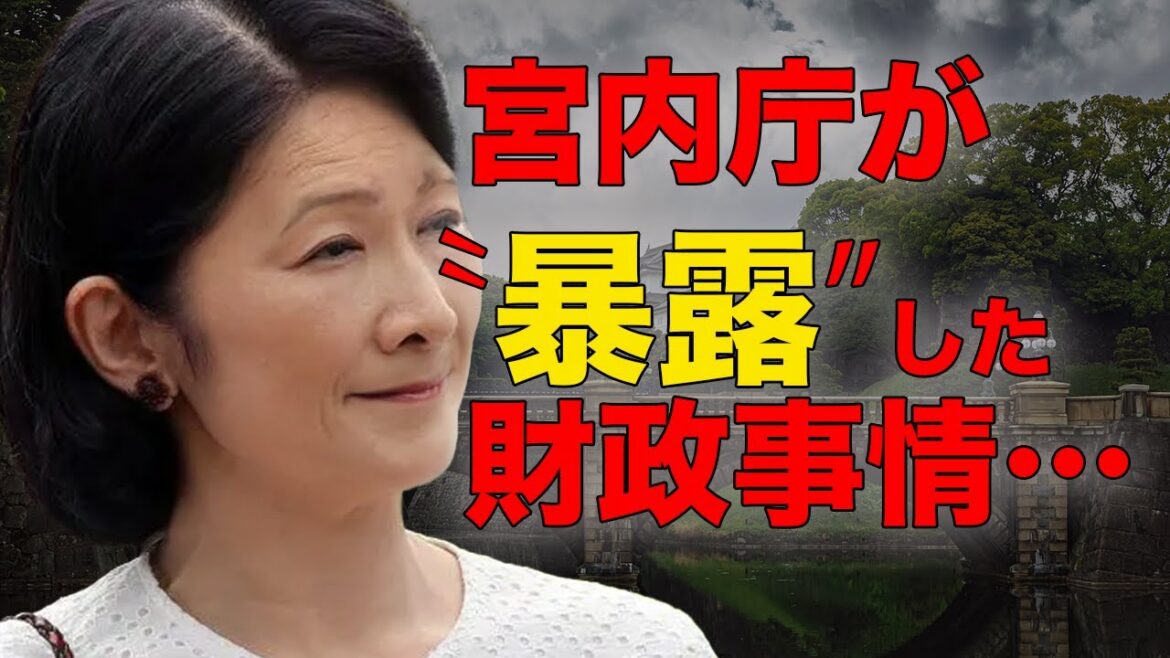 秋篠宮家の驚くべき財政状況に言葉を失う…宮内庁の本音と皇族の電気料金とは…