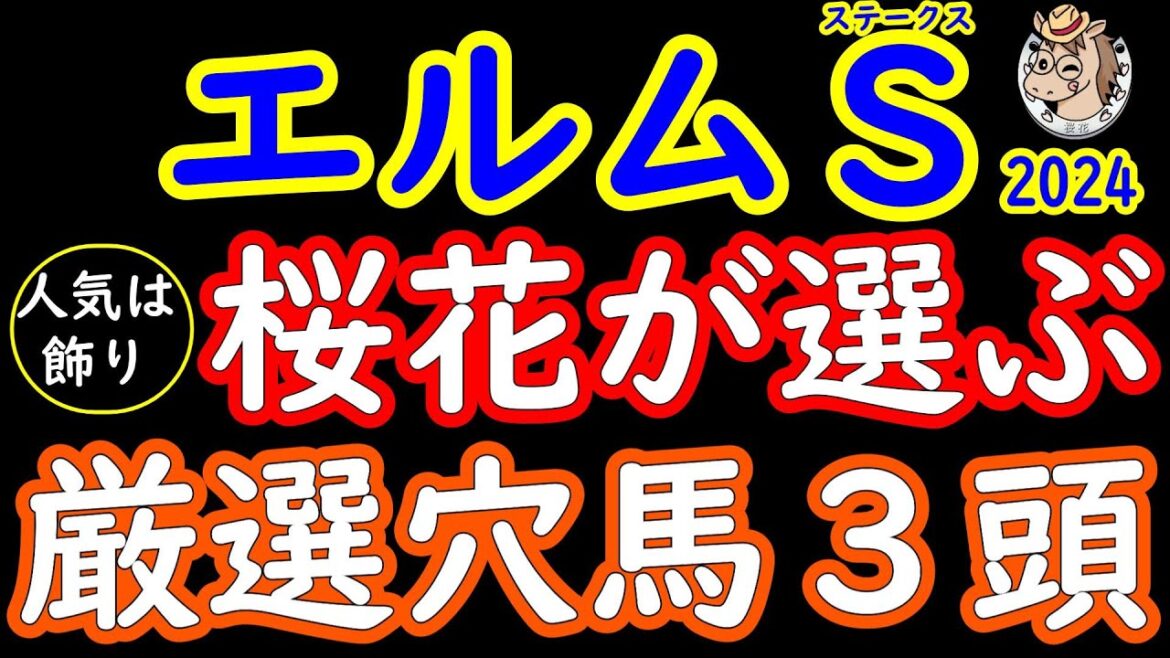 エルムステークス2024桜花が選ぶ厳選穴馬3頭！夏のダート重賞でコーナーが緩くなる札幌にて妙味がある馬を3頭紹介！