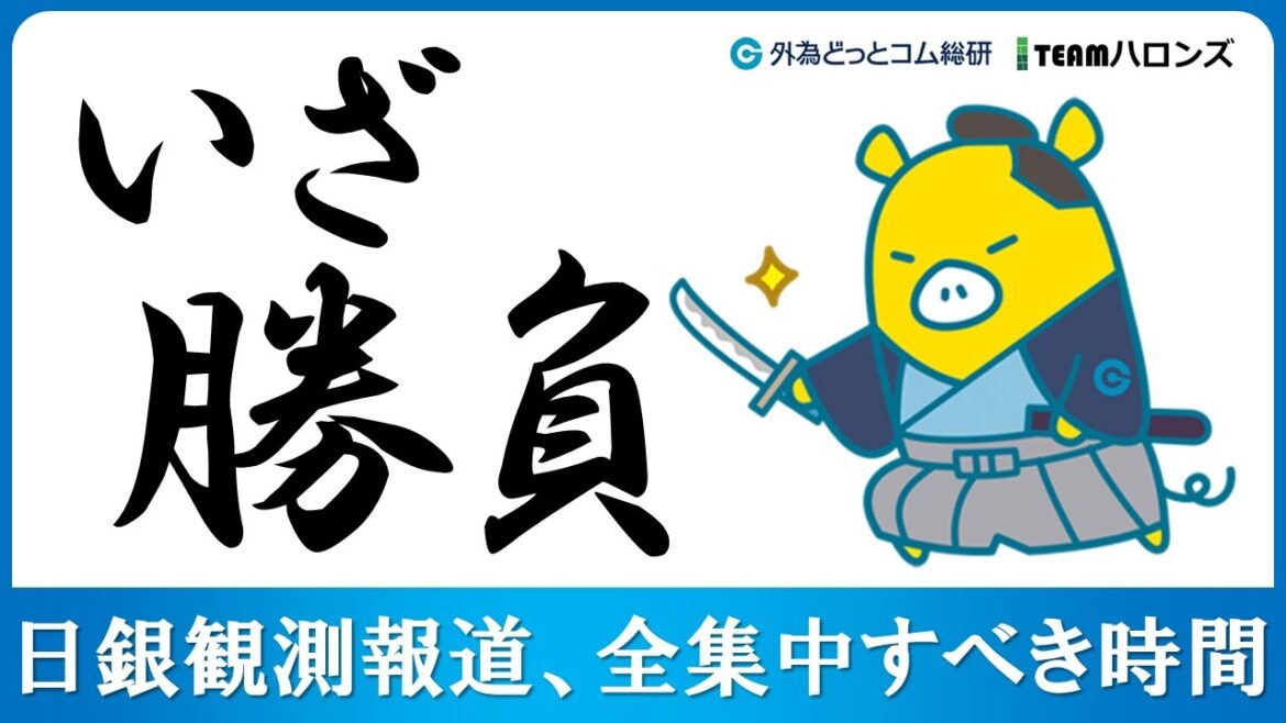 FXのライブ解説、日銀観測報道、全集中すべき時間「いざ勝負」 (2024年7月30日)