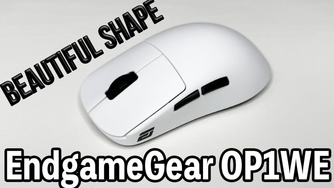 OP1WEはZAの代用マウスになれるのか/EndgameGear OP1WE