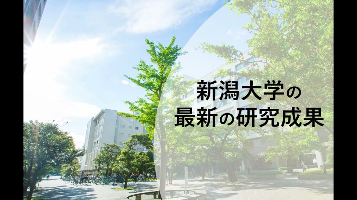 最新の研究成果（R6.6.4～R6.6.12HP掲載）
