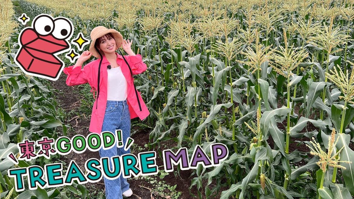 東京ＧＯＯＤ！ＴＲＥＡＳＵＲＥ ＭＡＰ ＃272【トウモロコシ街道の夏　あきる野市】