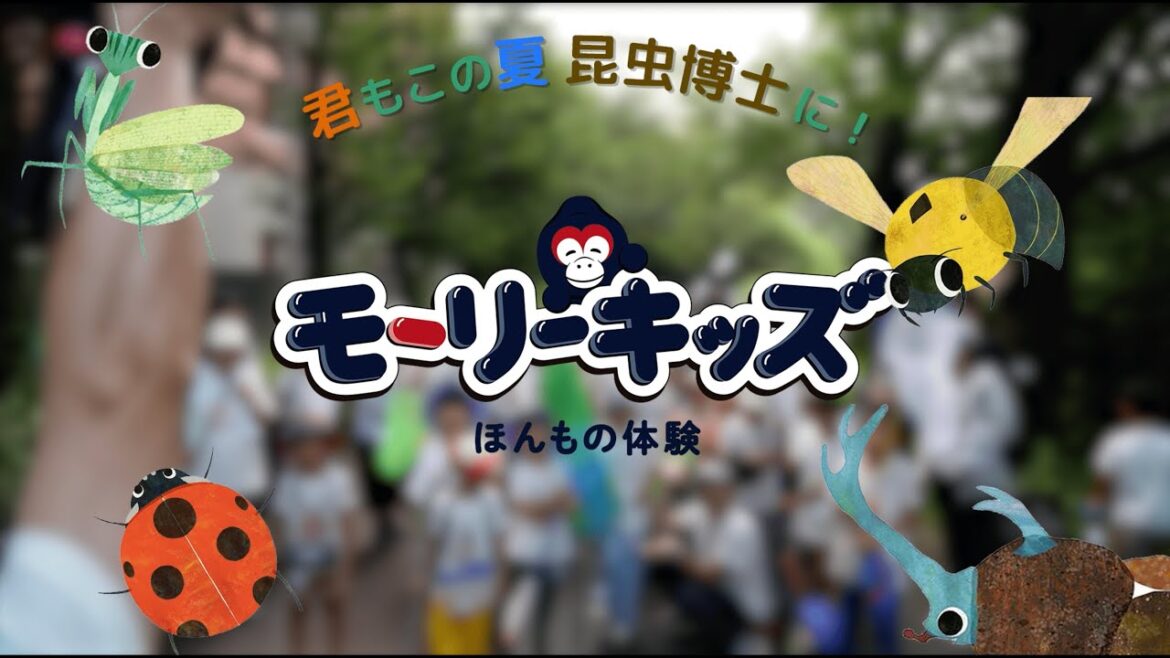 【スペシャルゲスト：香川照之】昆虫採集イベント：モーリーキッズ主催